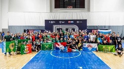 �����������